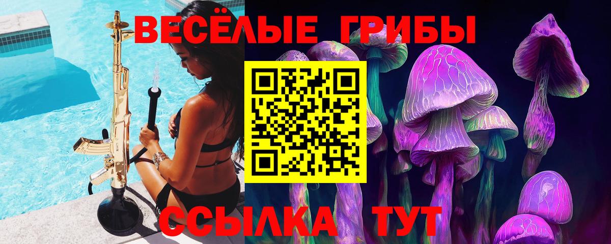 Жигулёвск  купить наркотики сайты  Вход с VPN  Галлюциногенные грибы мухоморы 