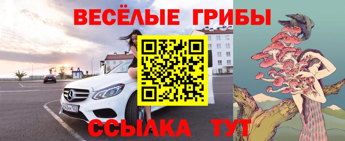Псилоцибиновые грибы мицелий Жигулёвск